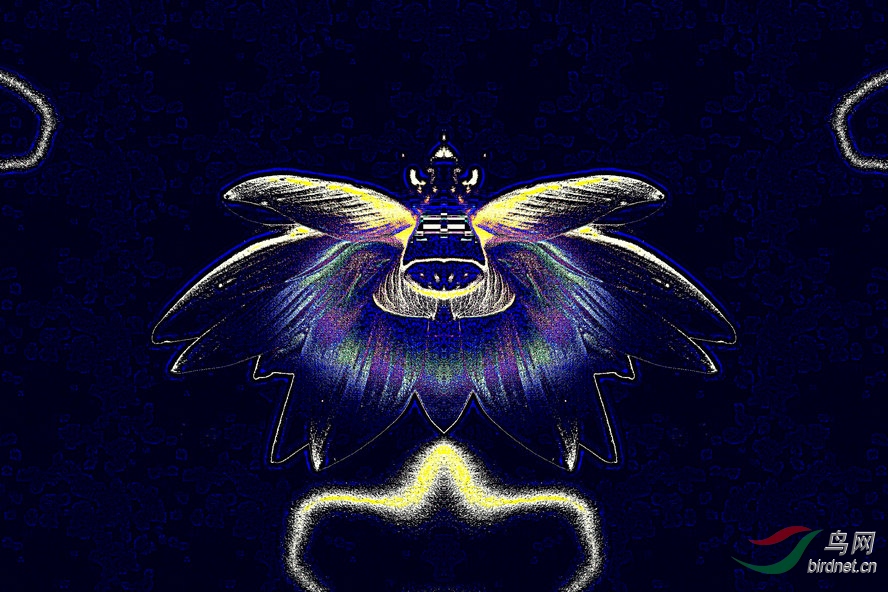 AQ1I7257_����_����.jpg