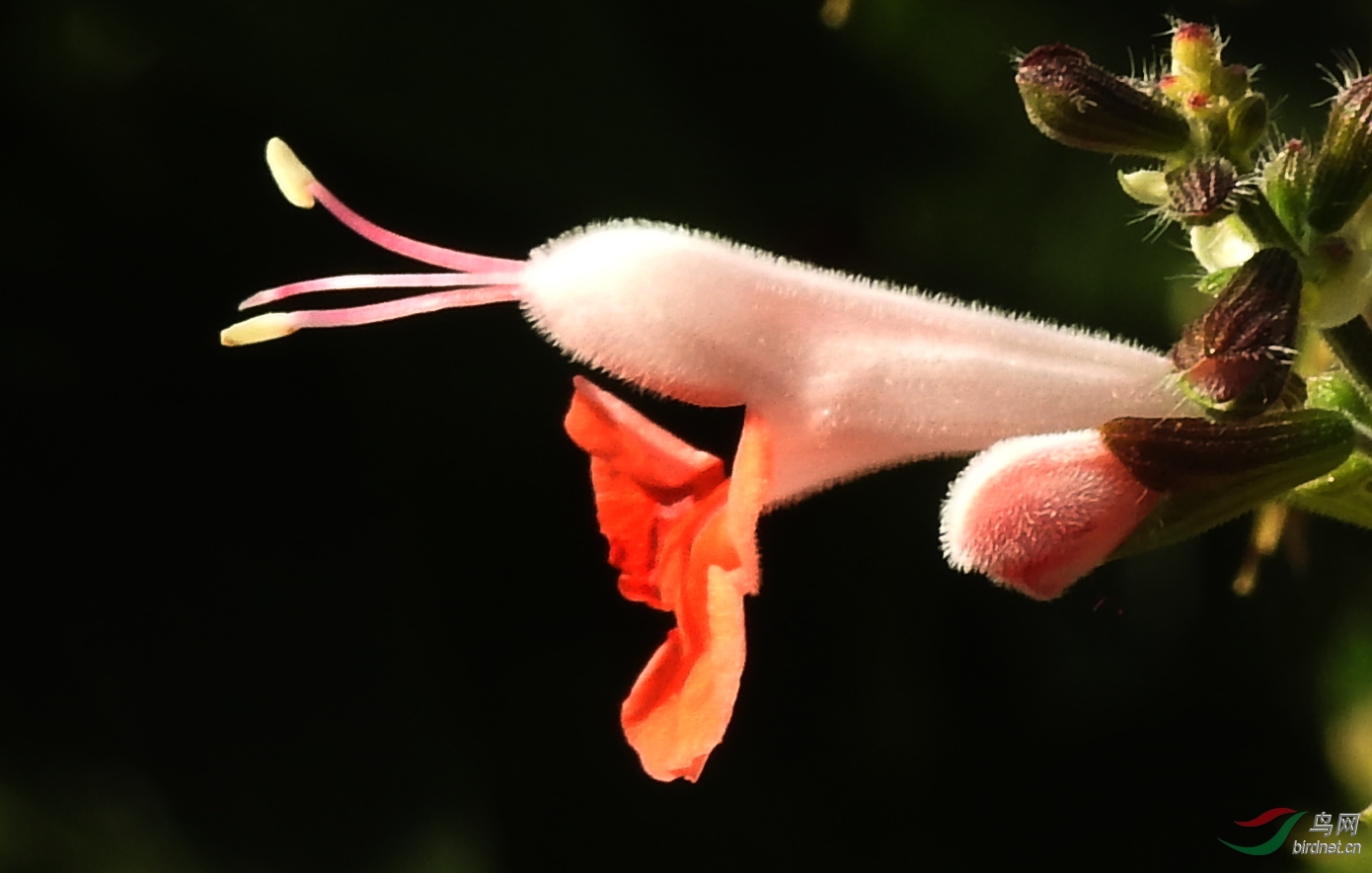 DSCN1573.JPG