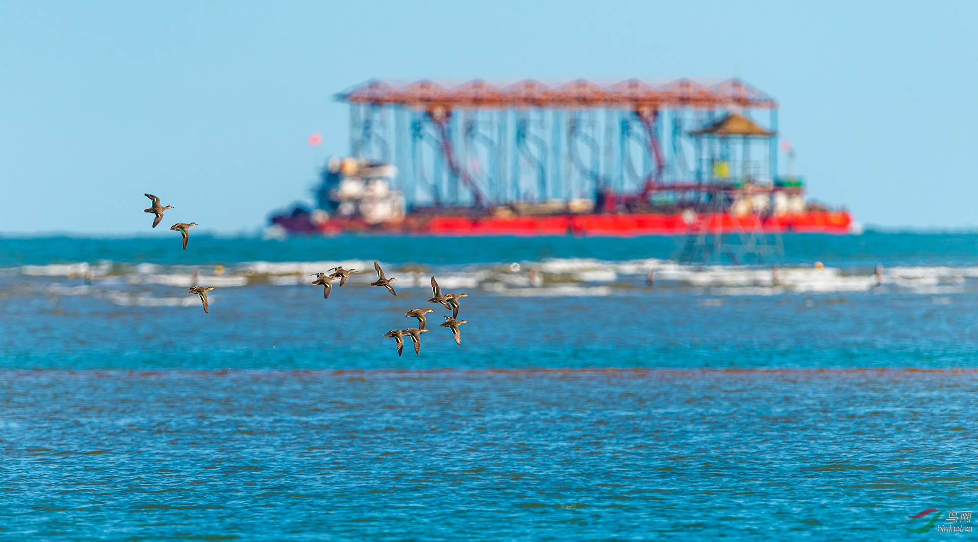 DSC_1788.jpg