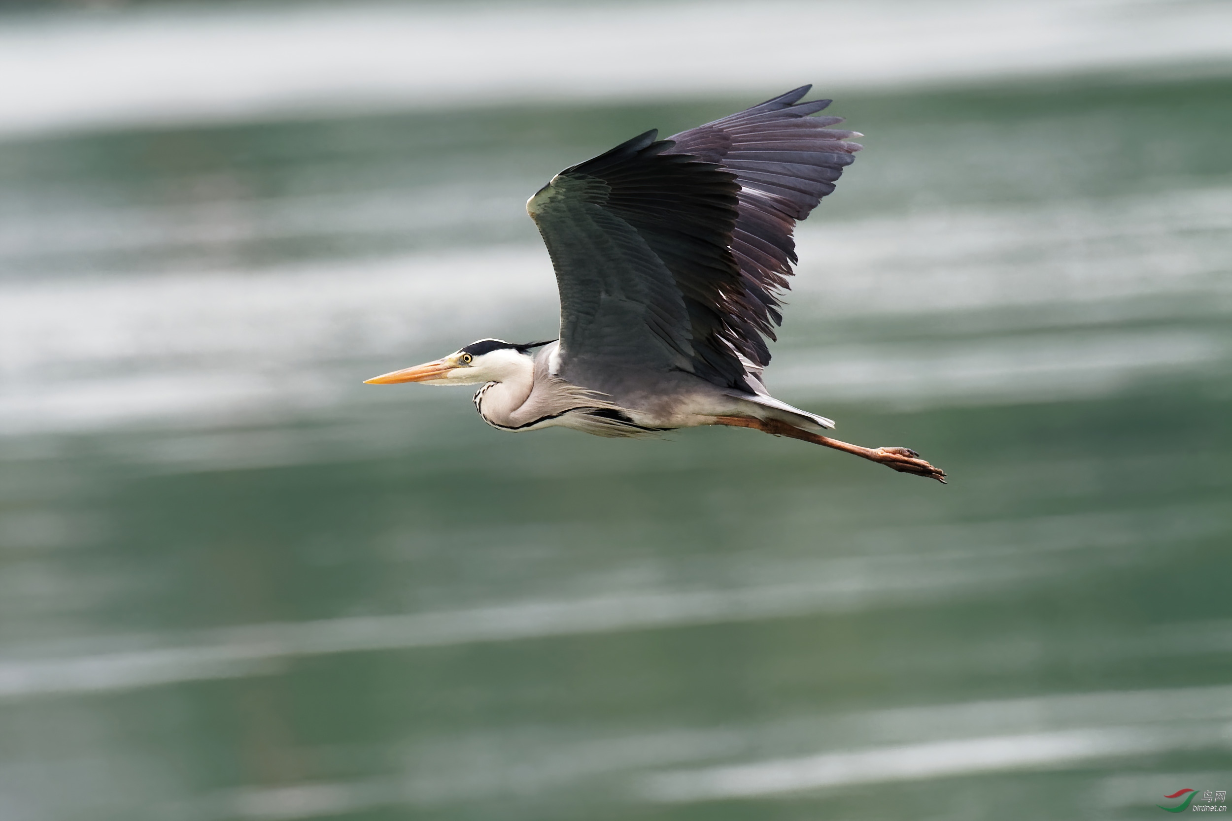P4180053_DxO-d.jpg