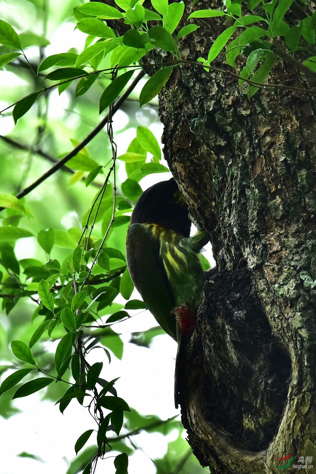 DSC_0067.JPG