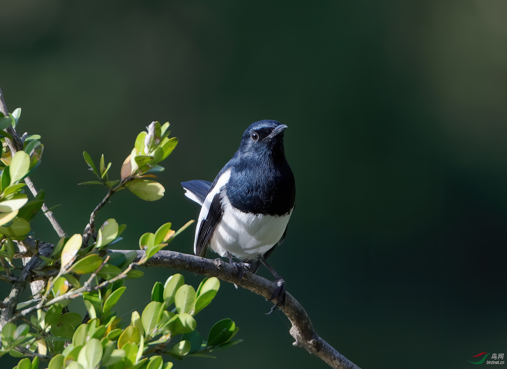 DSC_8213.jpg