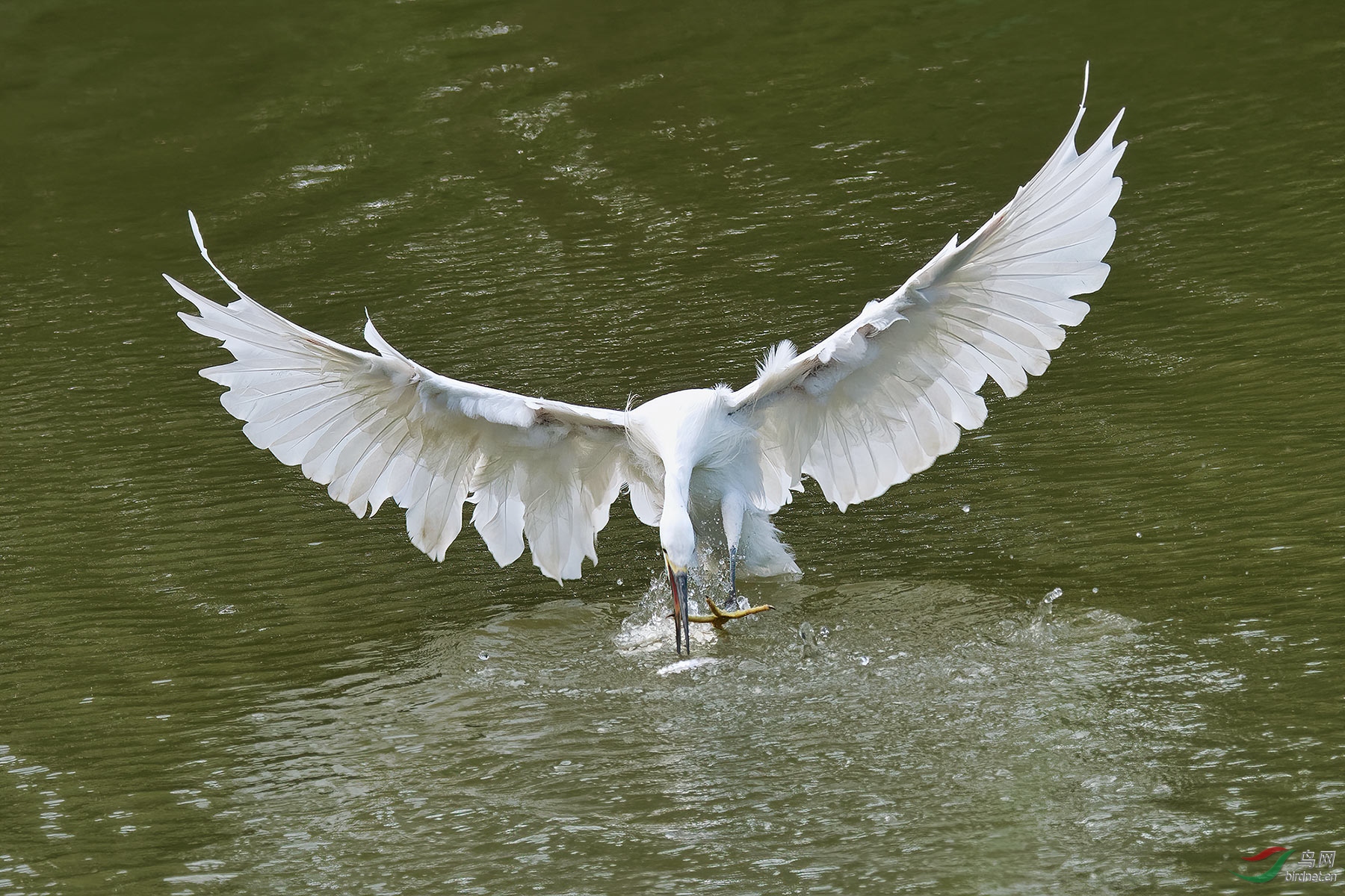 DSC_5390.jpg