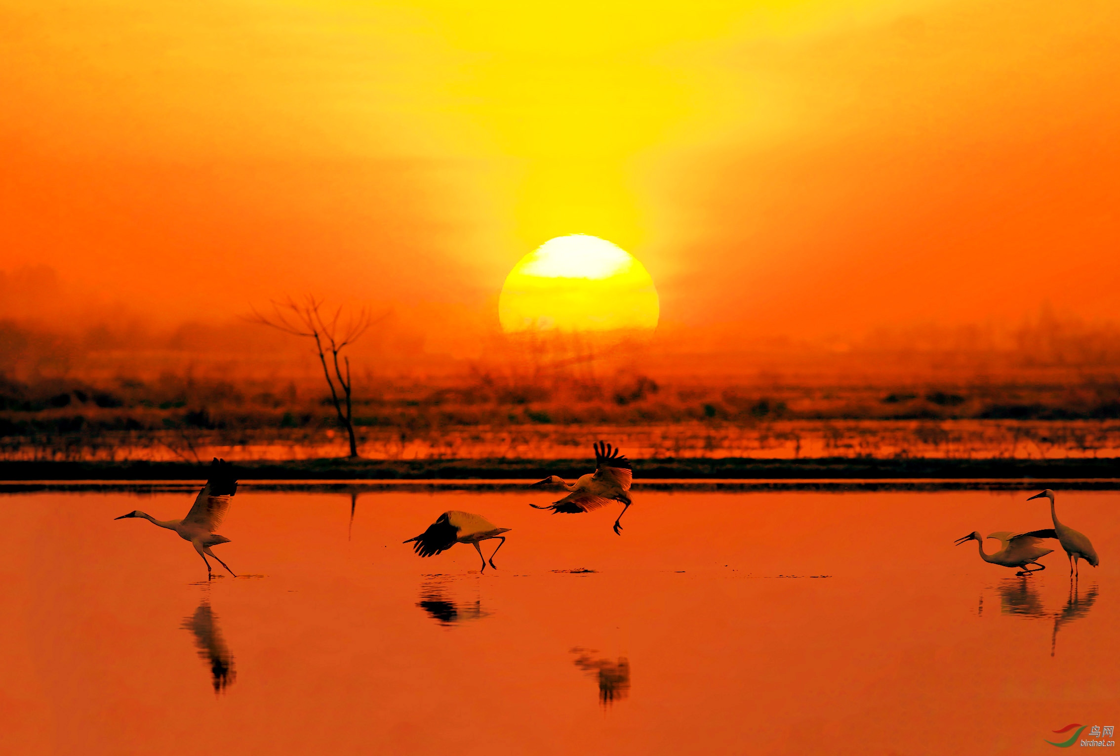 AB0R6714�ĸ��� 2.jpg