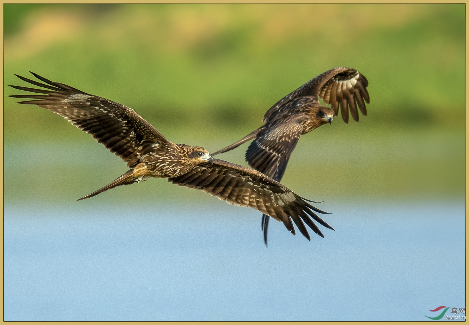 ��DSC_5181-1.jpg