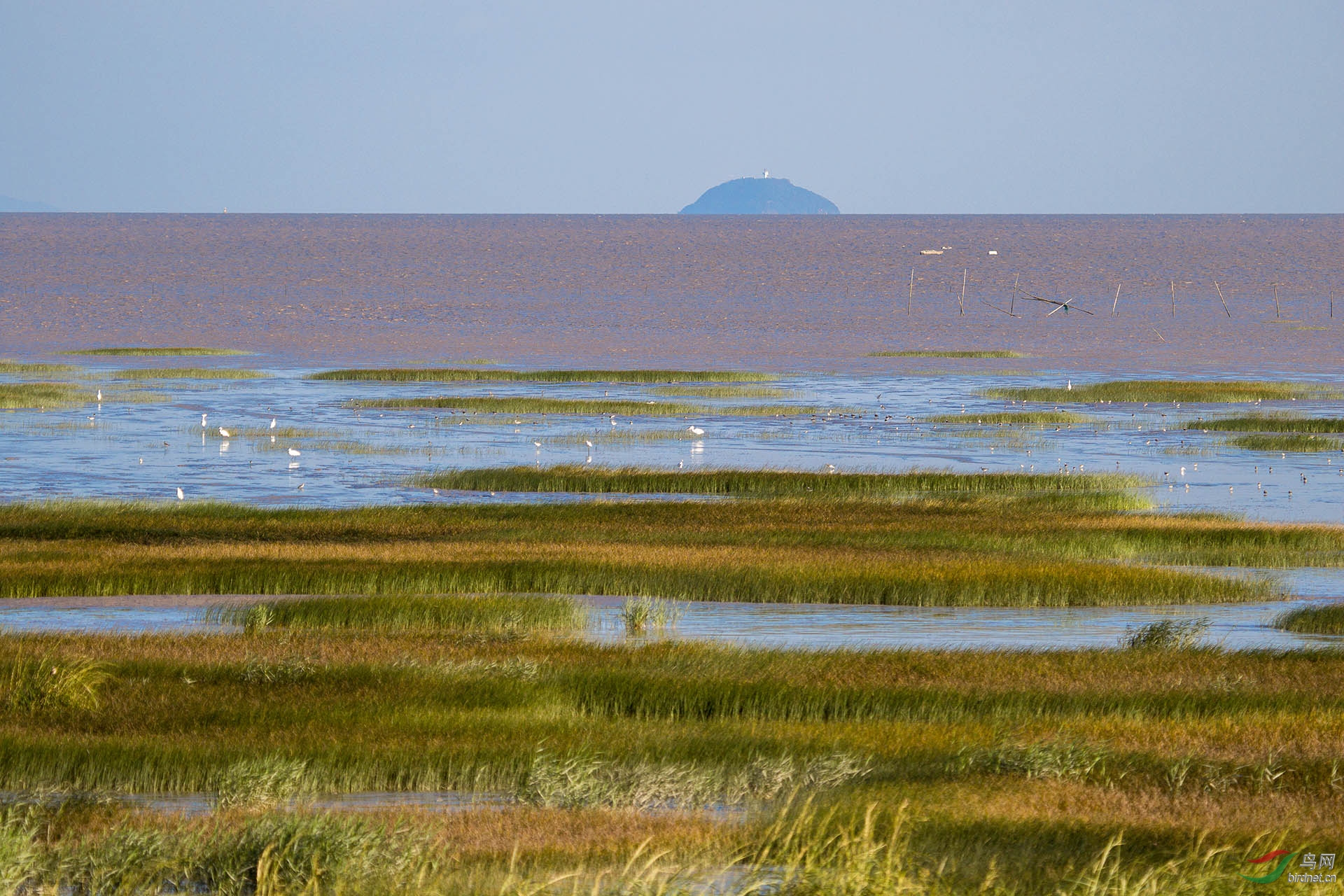 自然生态生境湿地