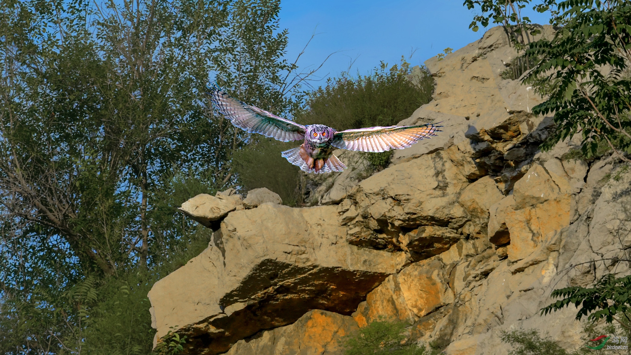 DSC_3551 (3)_����.jpg