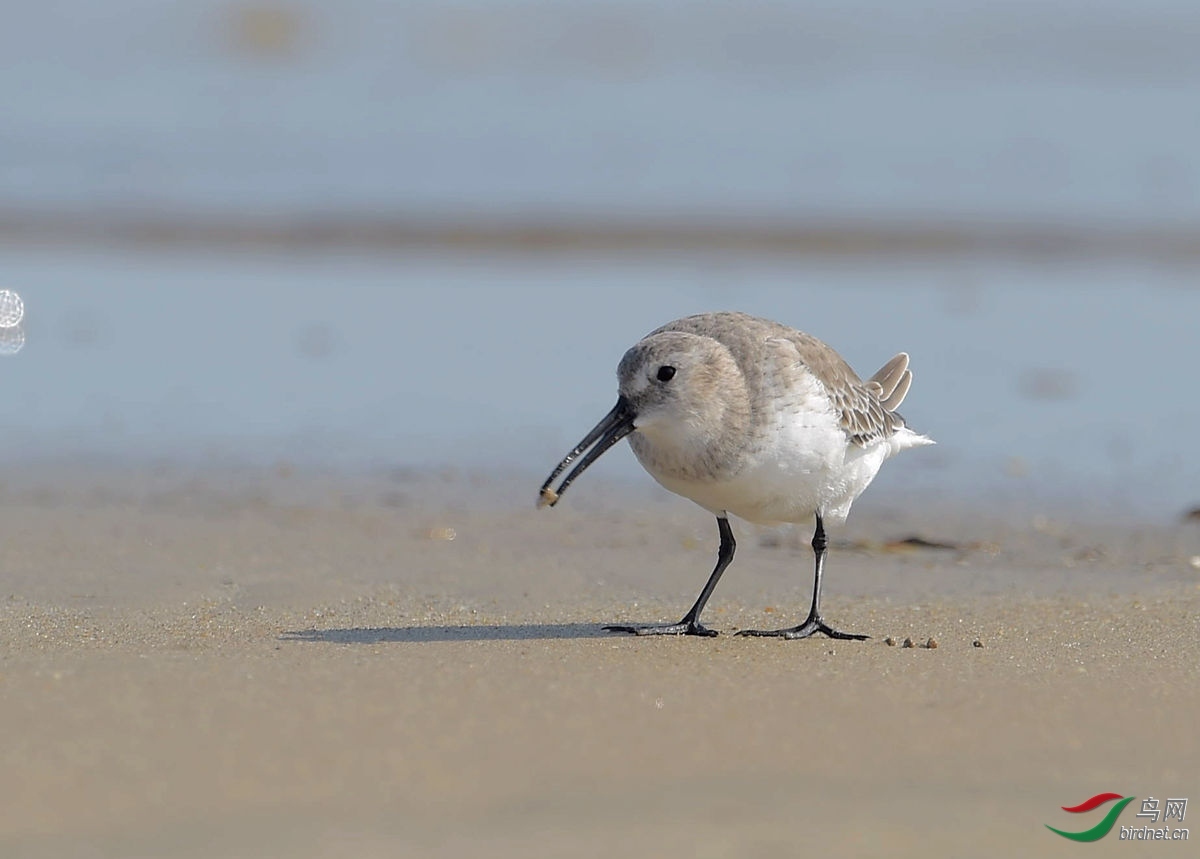 ����һ ��ʦ�����ڸ���ʡȪ���� ʯʨ��.jpg