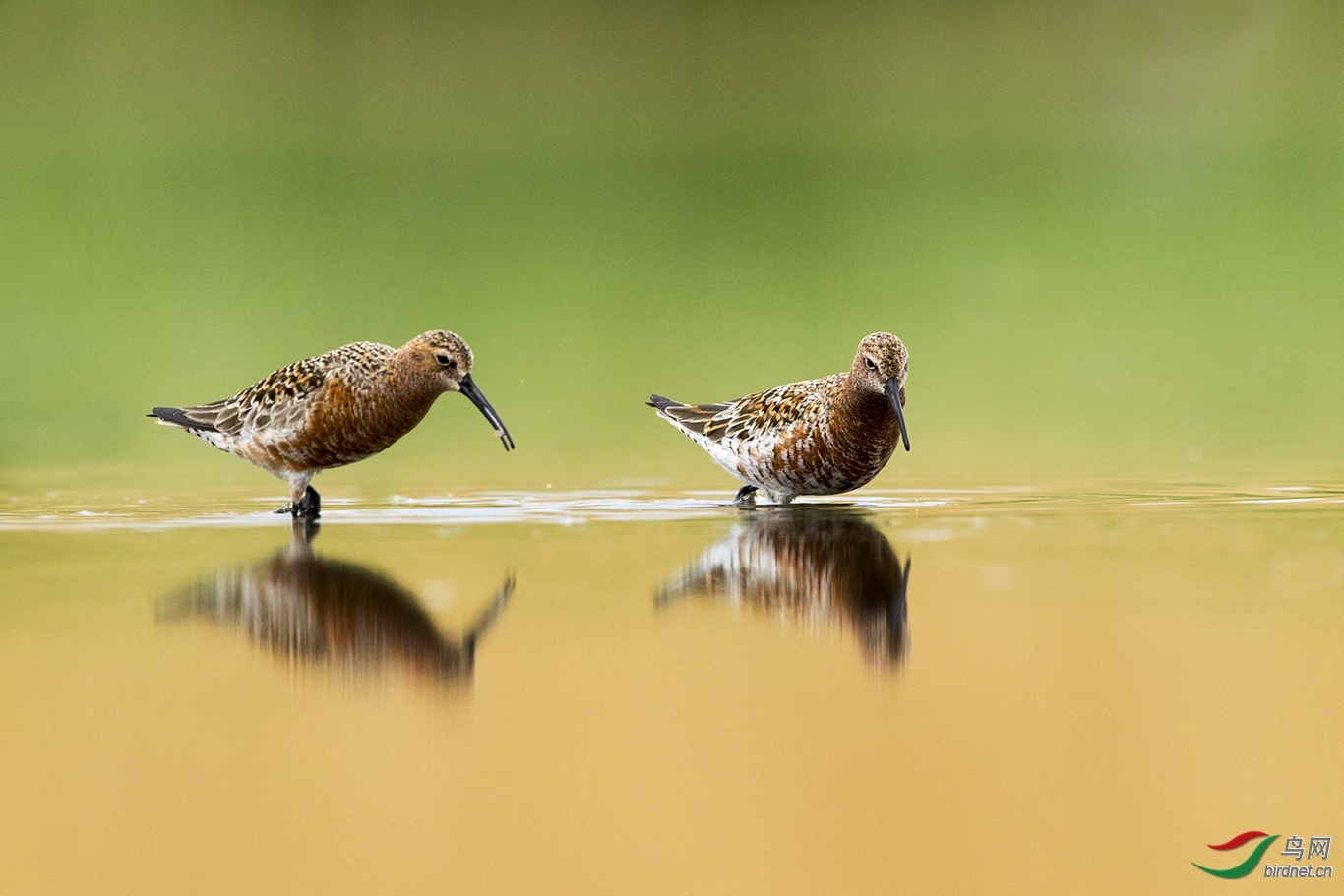 ꖹ� ��ʦ����.jpg