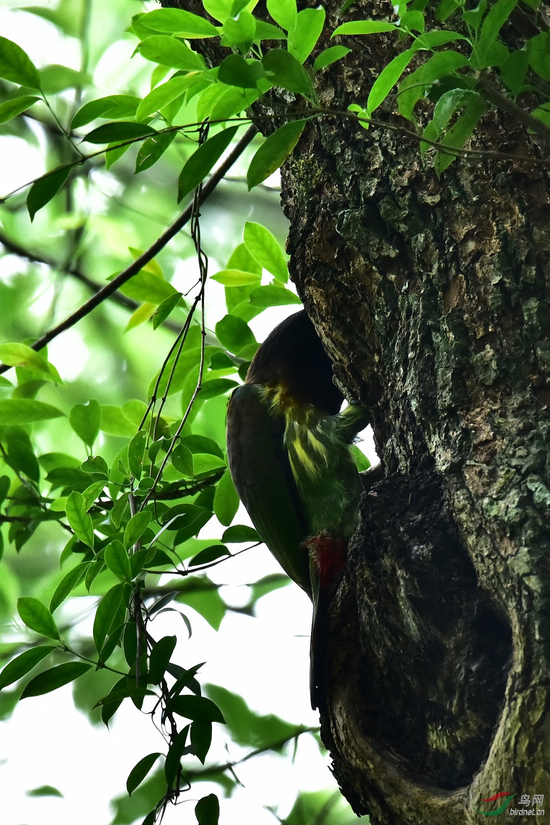 DSC_0069.JPG