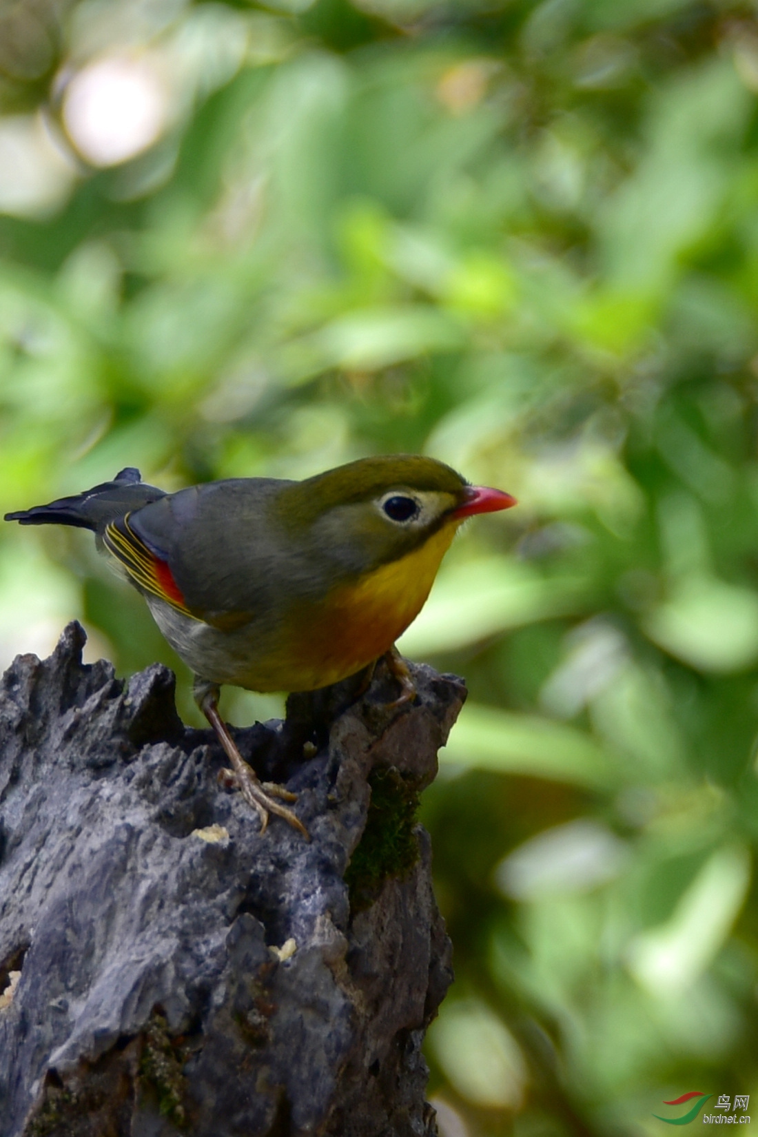 DSC_0814.JPG