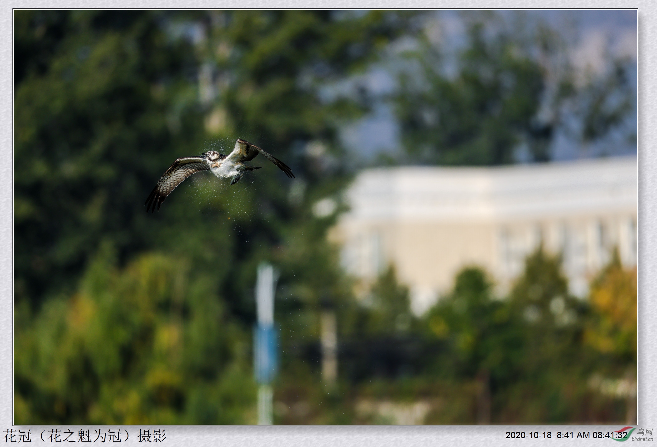 306A1517BBB_����.jpg
