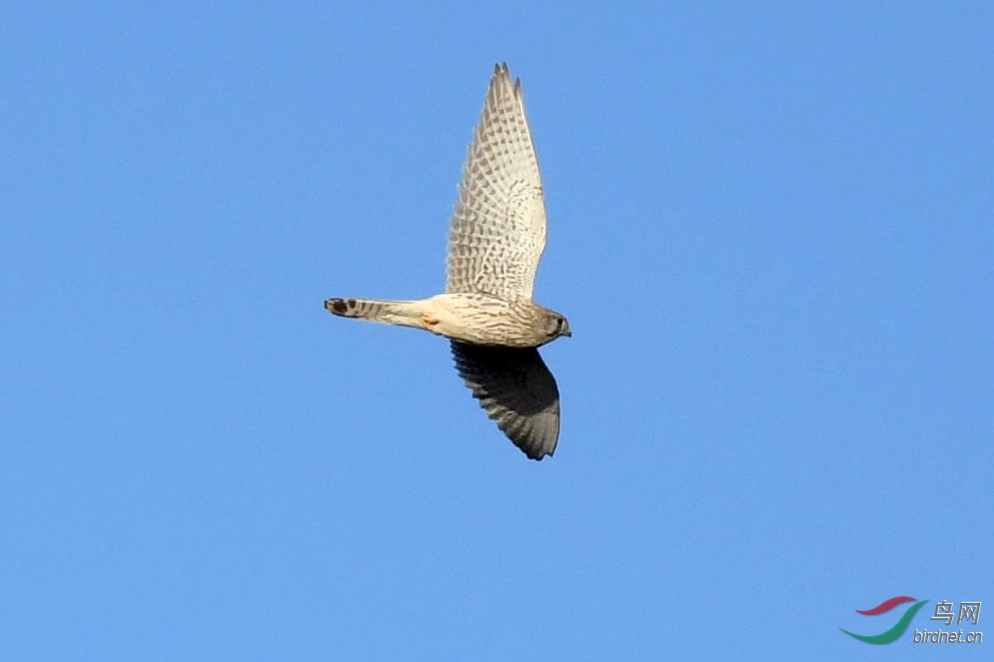 DSC_4673.jpg