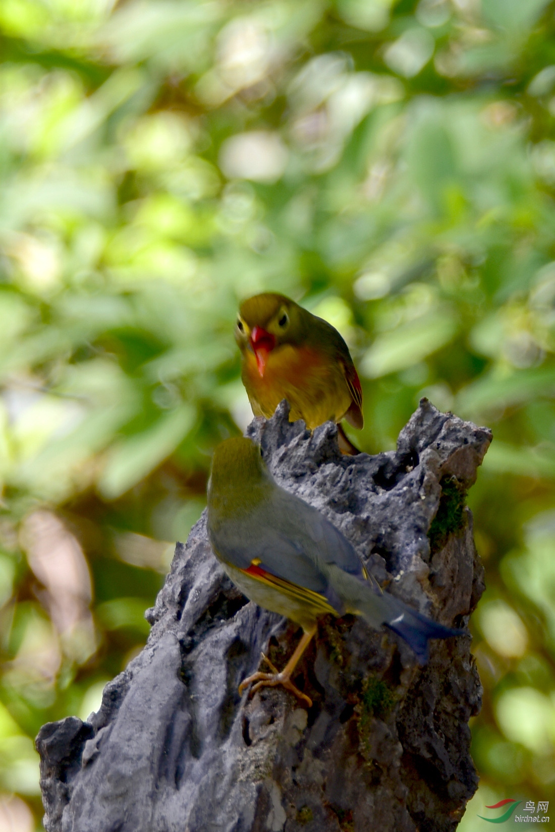DSC_0823.JPG