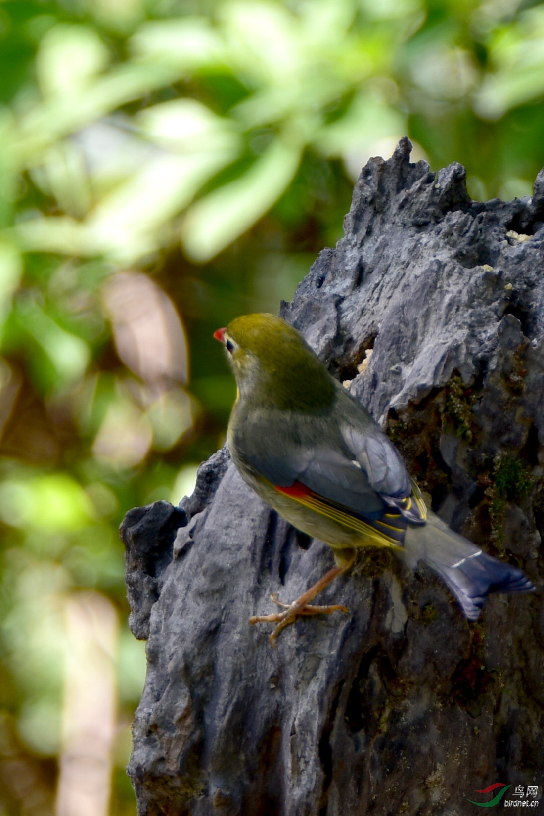 DSC_0825.JPG