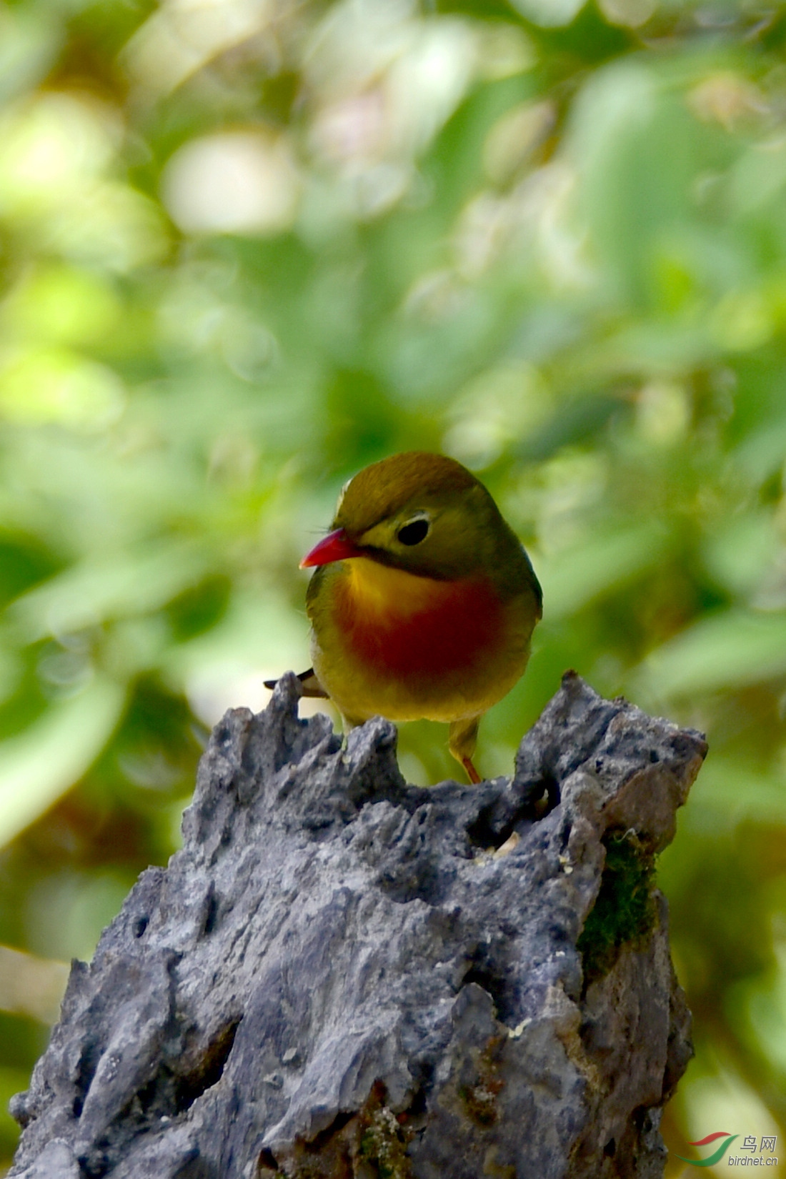 DSC_0826.JPG