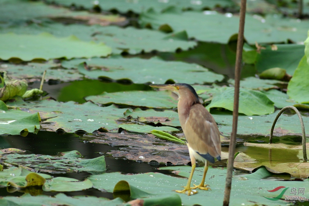 367A7434_����.jpg