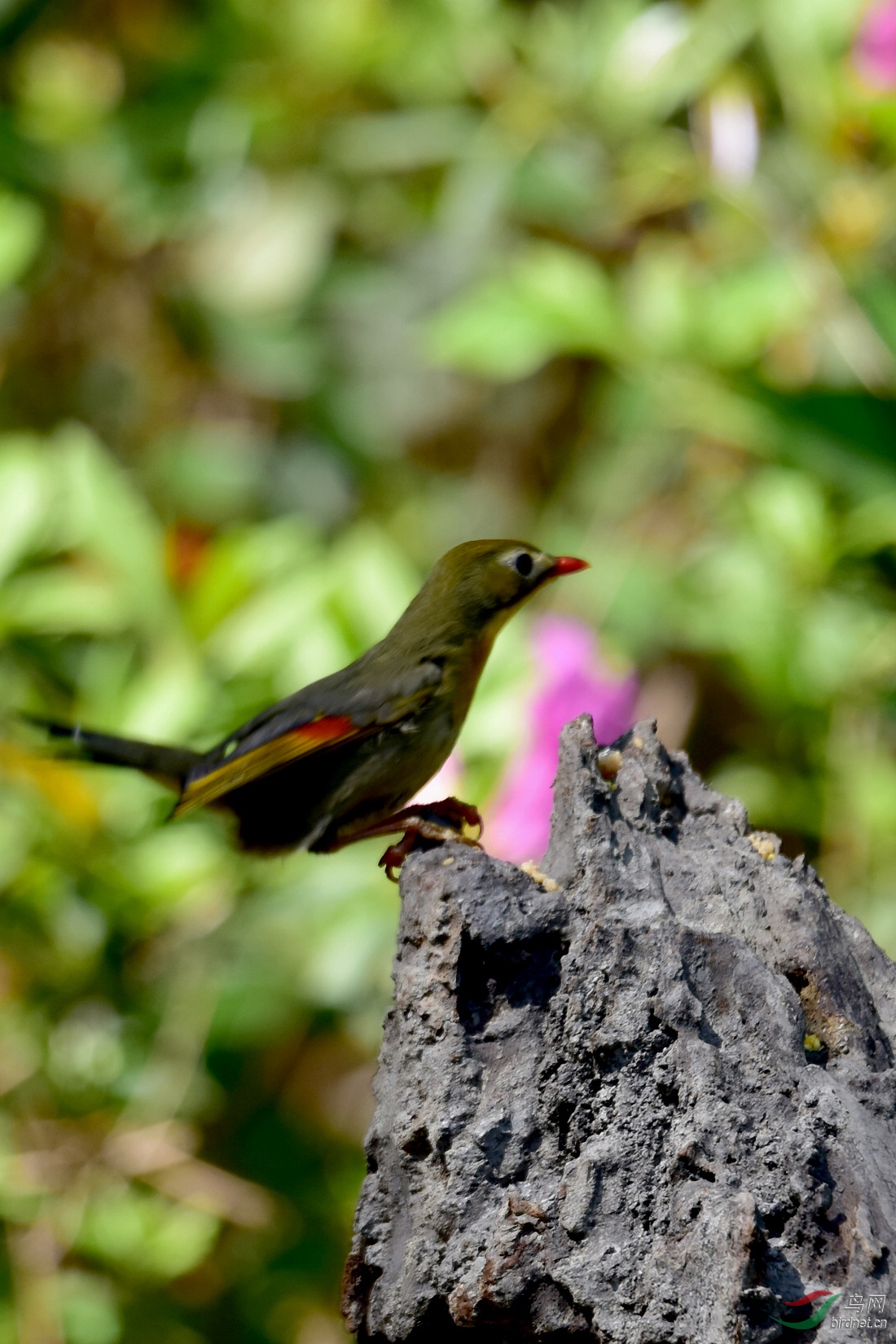 DSC_0828.JPG