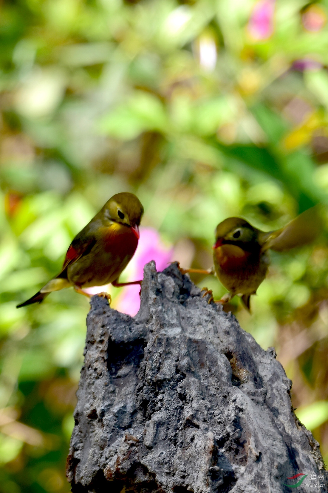 DSC_0829.JPG