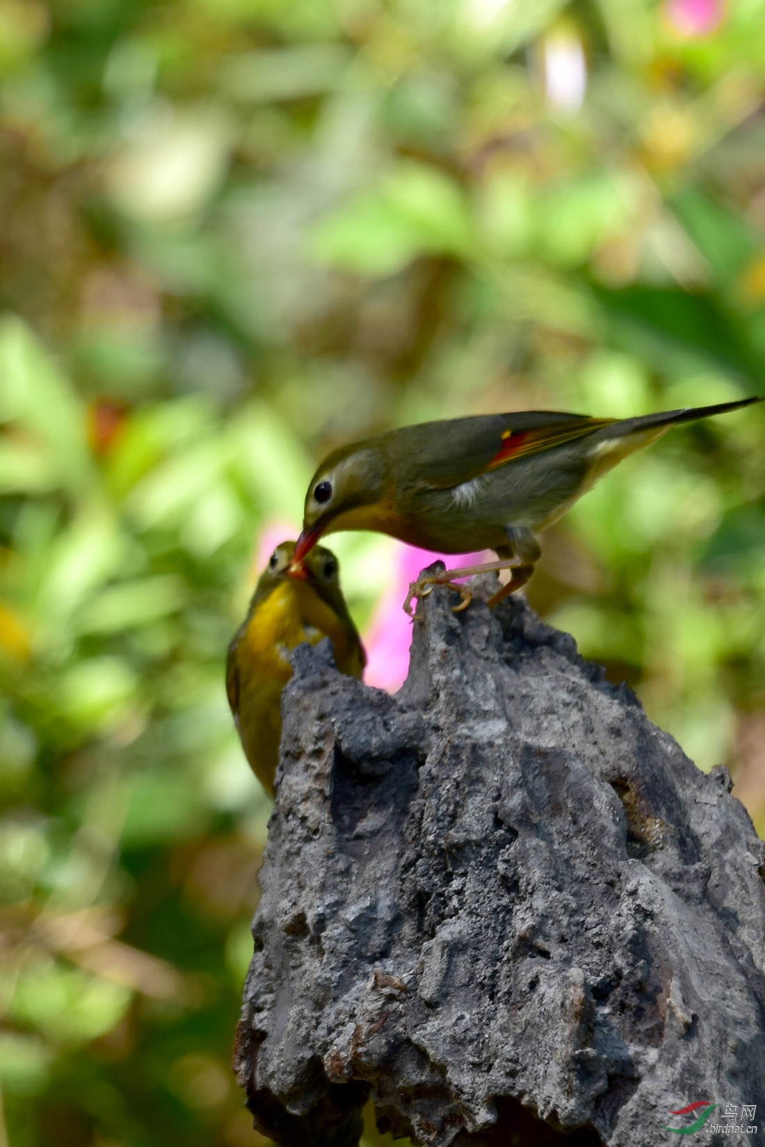 DSC_0830.JPG