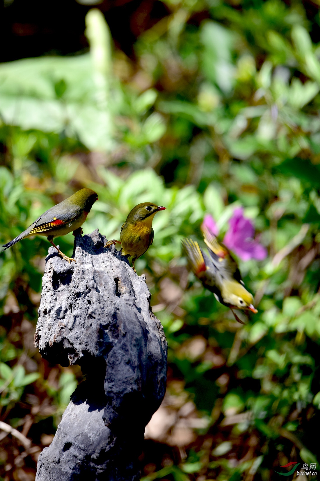 DSC_0832.JPG
