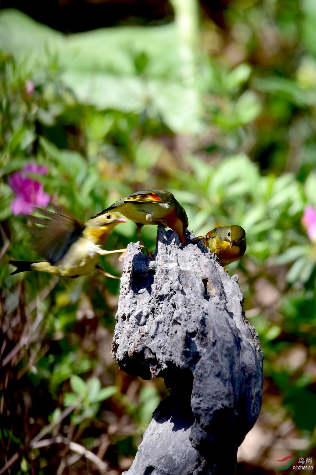 DSC_0833.JPG