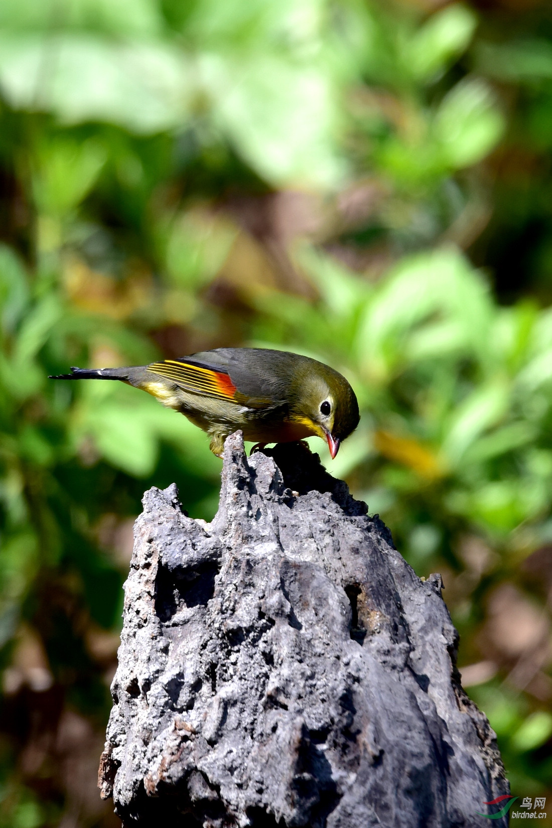 DSC_0834.JPG