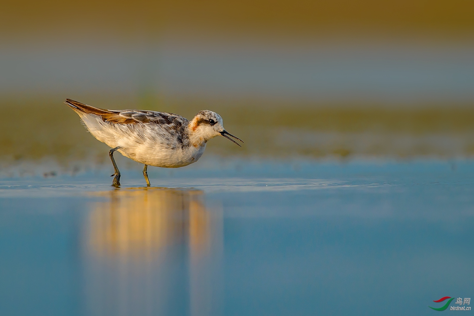 ���ɽ�� ��ʦ�����Ϻ��г�����.jpg