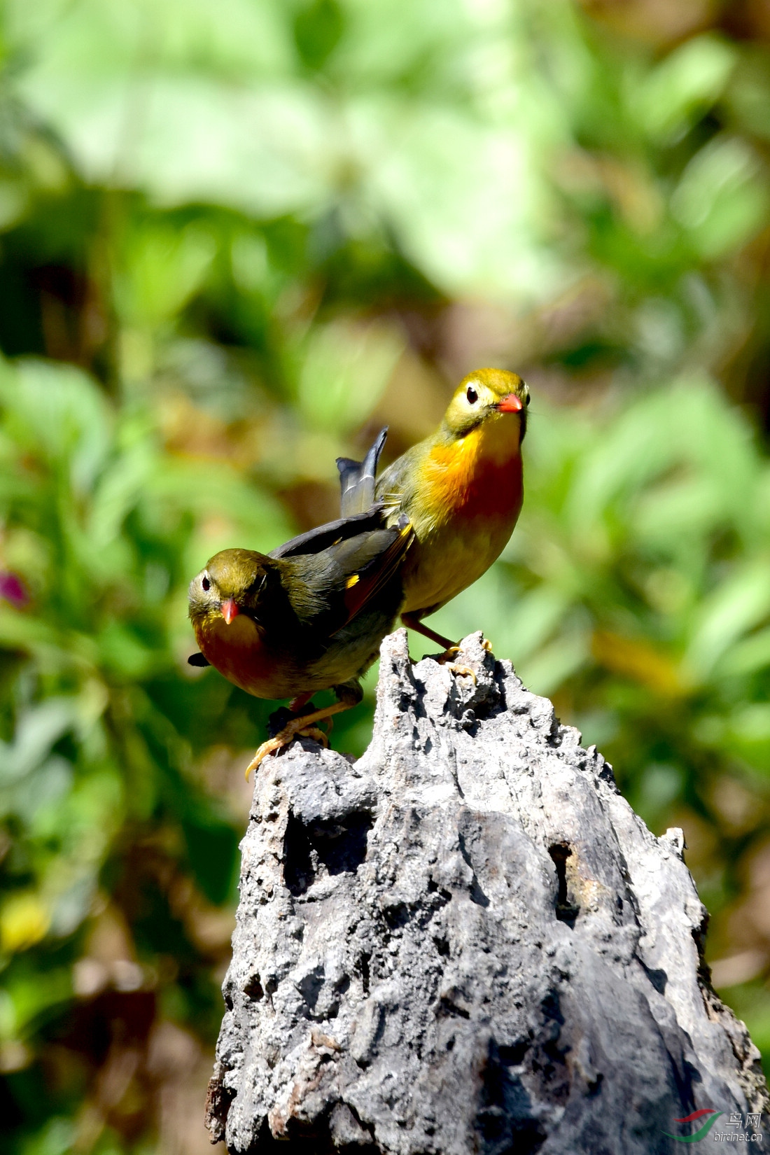 DSC_0836.JPG