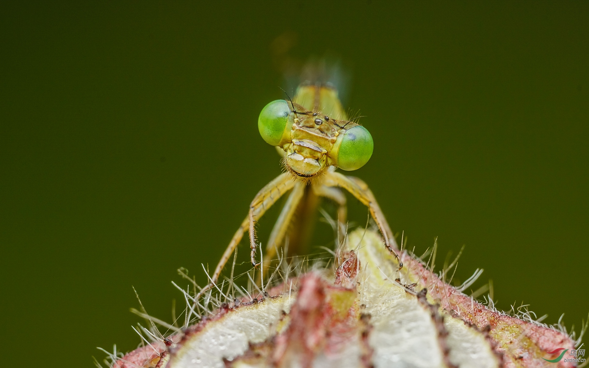 δ����-09704.jpg