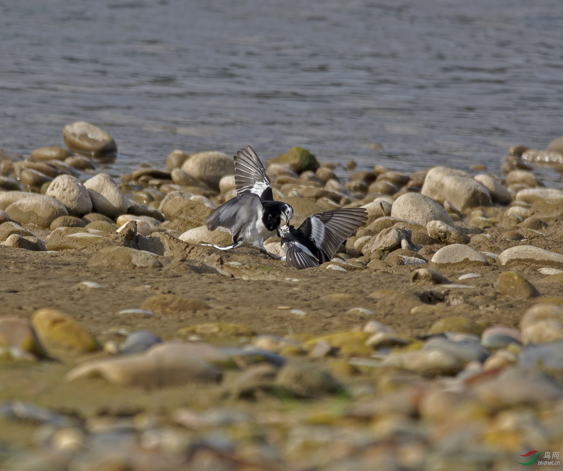 DSC_9345.jpg