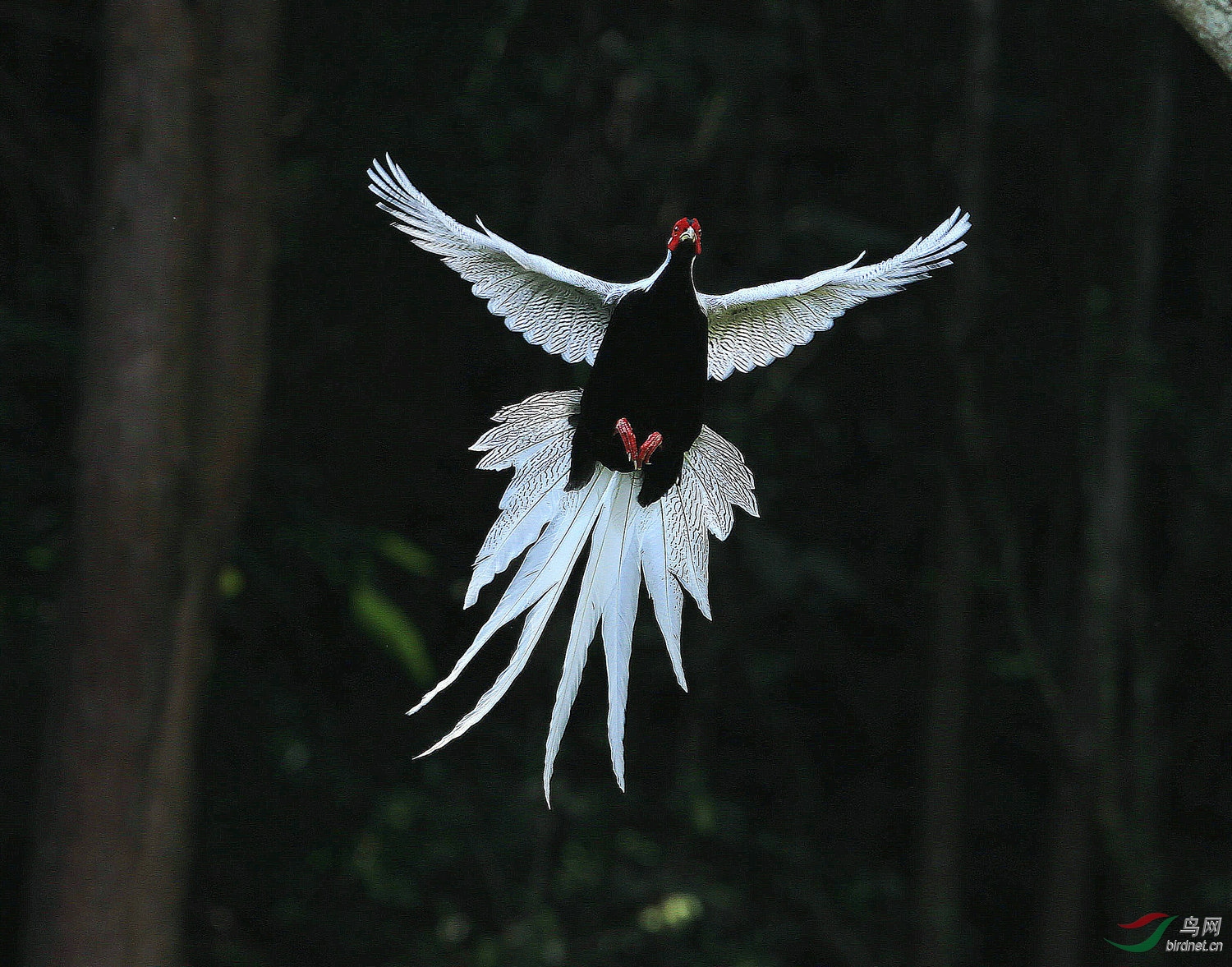 A C9840 ���.jpg