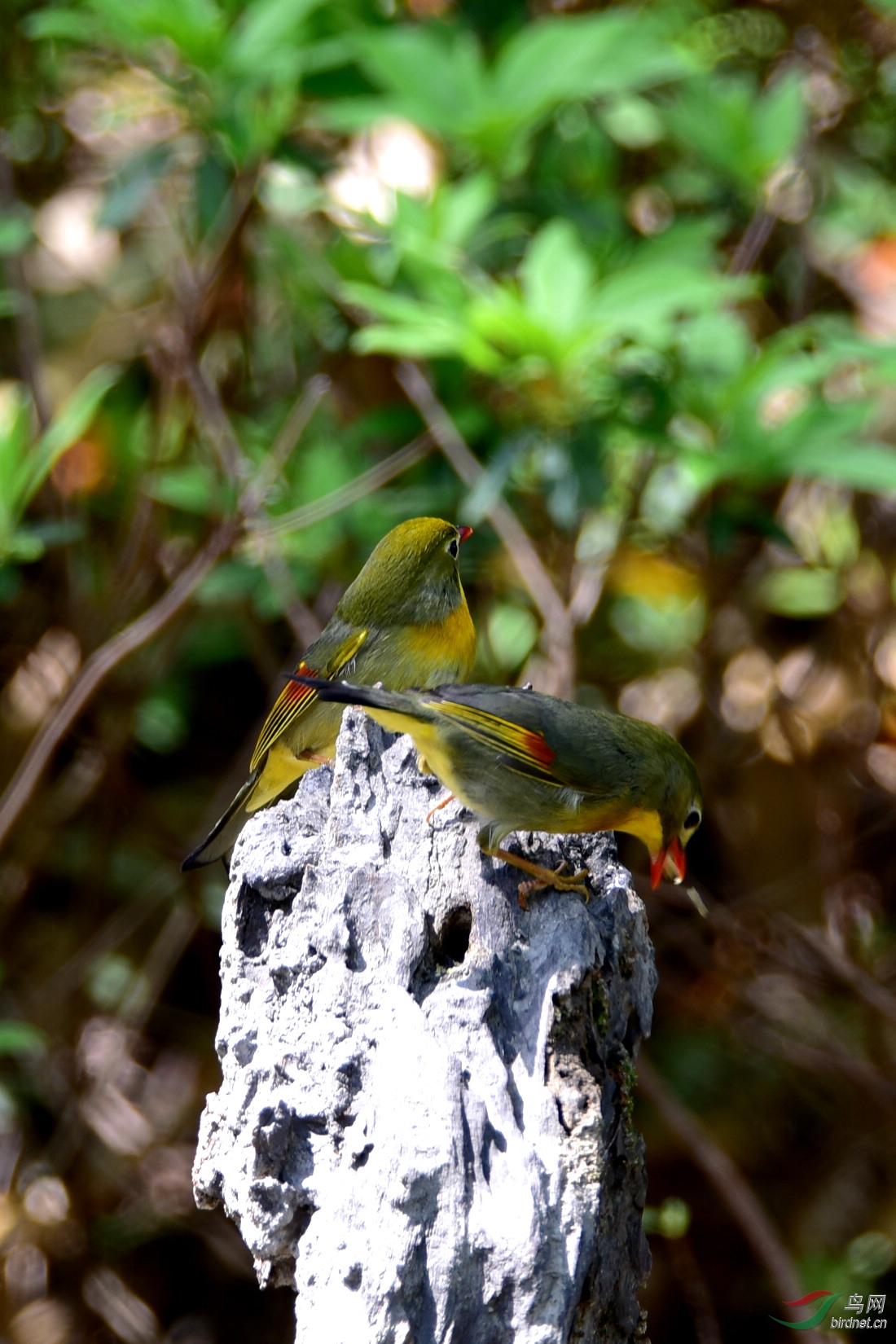 DSC_0837.JPG