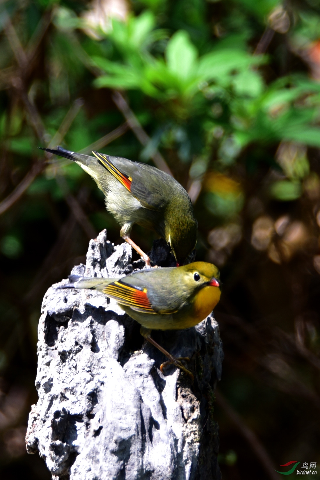 DSC_0838.JPG