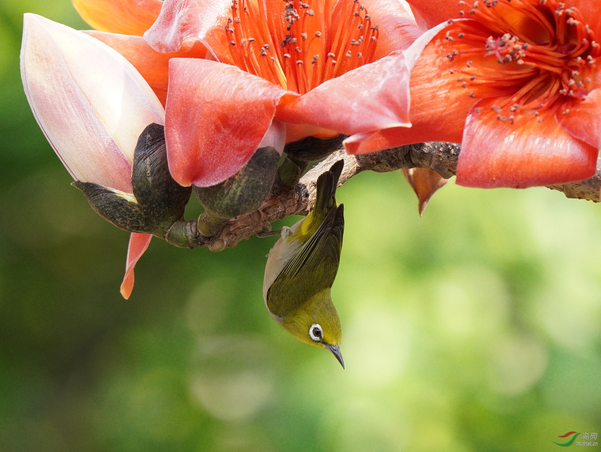 DSC08668 ��ؐ.jpg