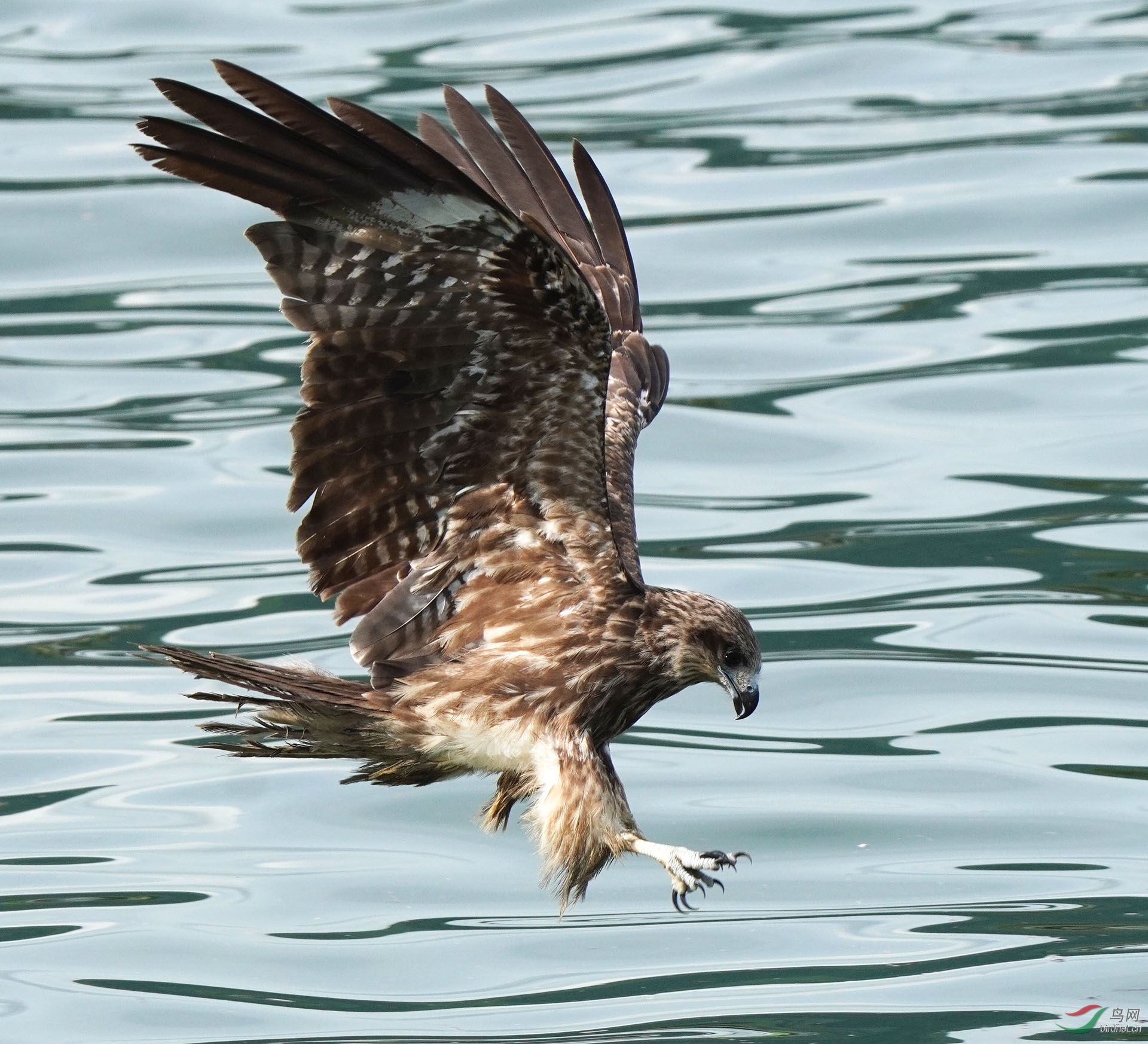 DSC02486 ��ؐ.jpg