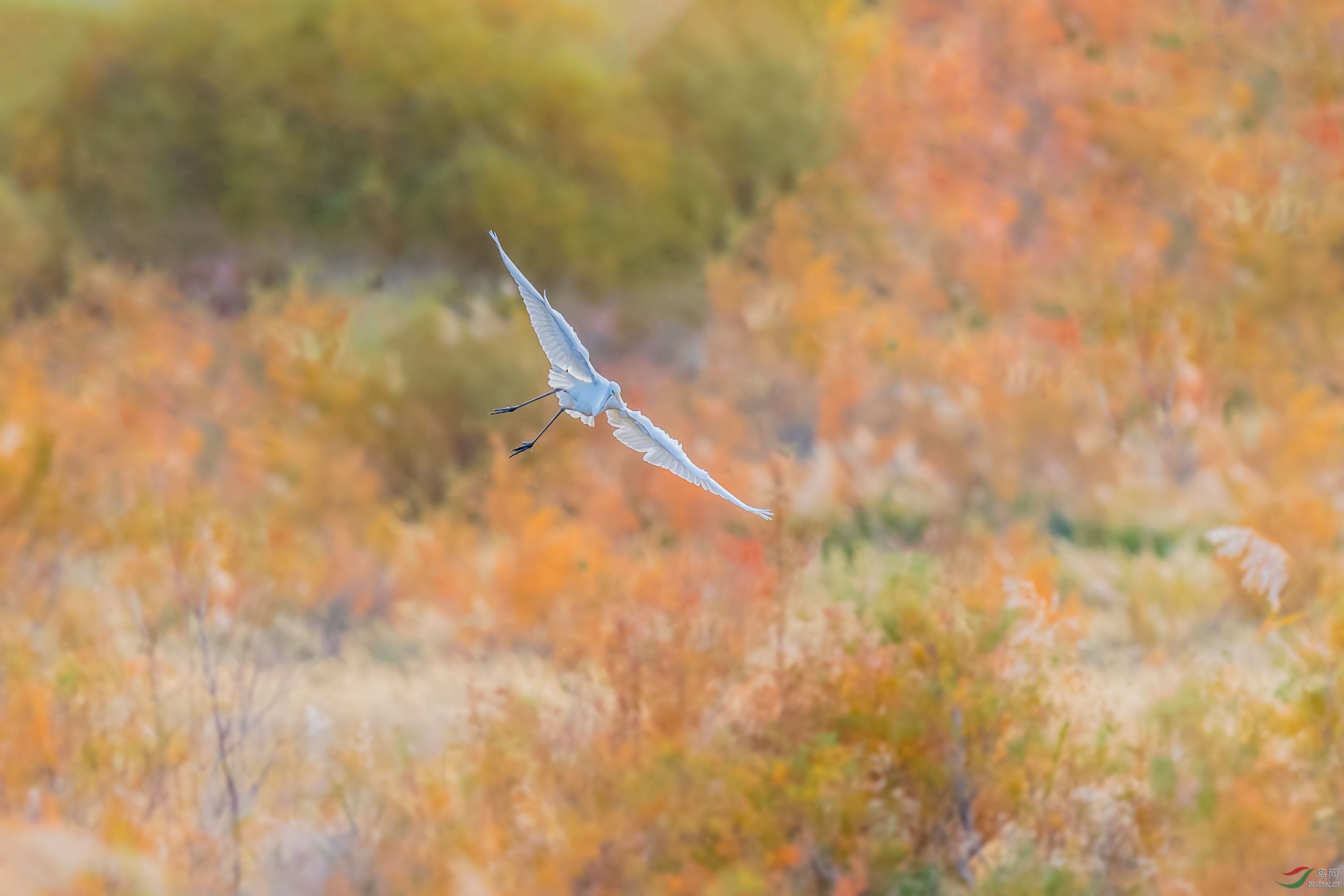 _DSC6380_��ͼ��.jpg