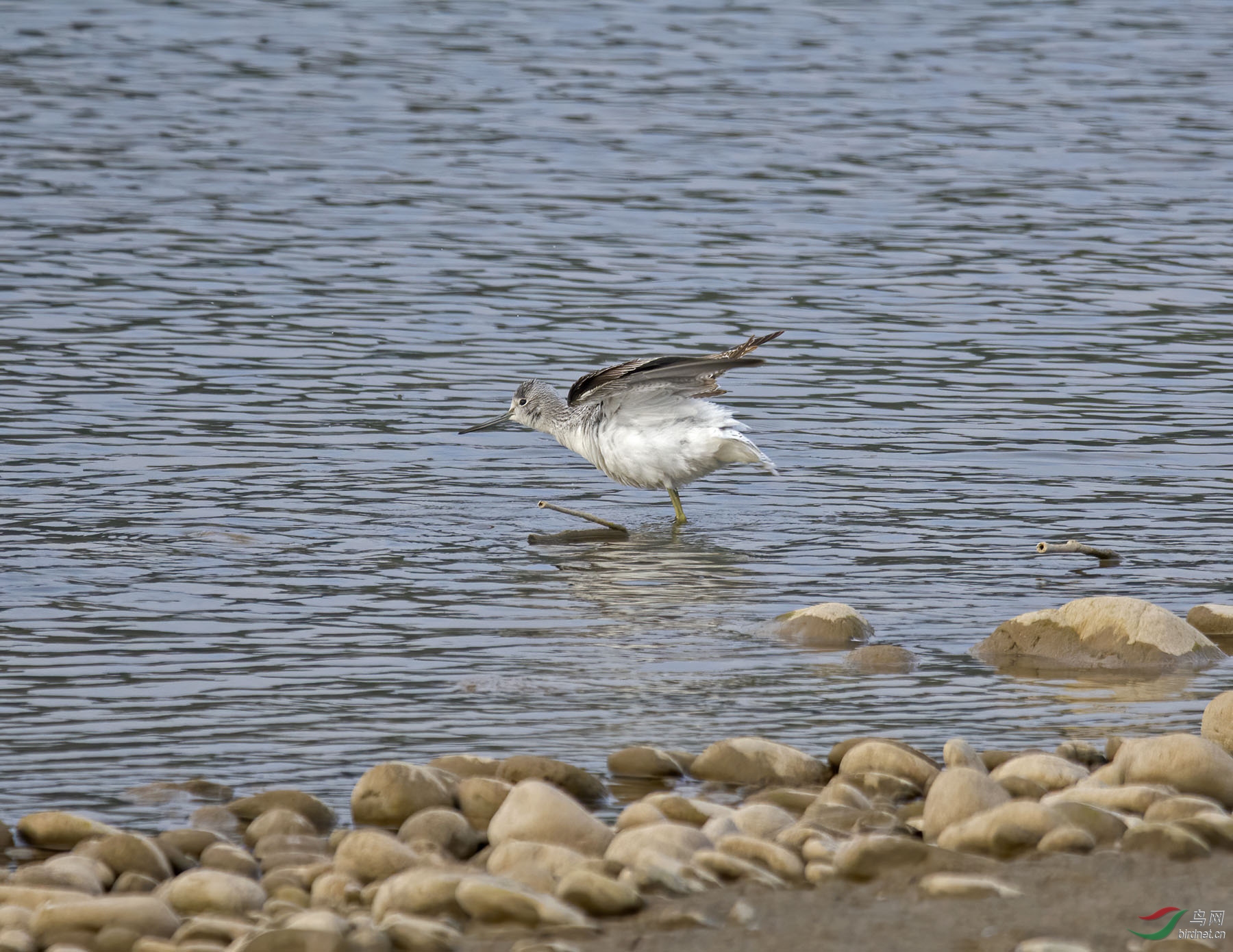 DSC_9234.jpg