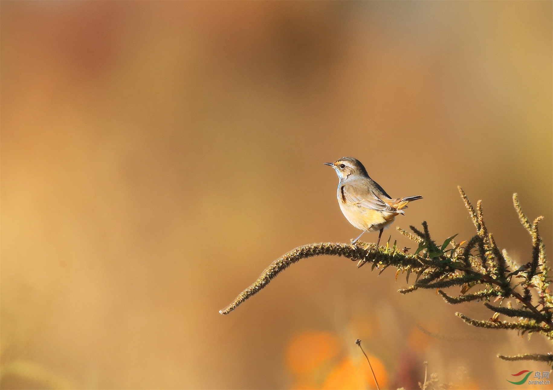 1 - ����.JPG