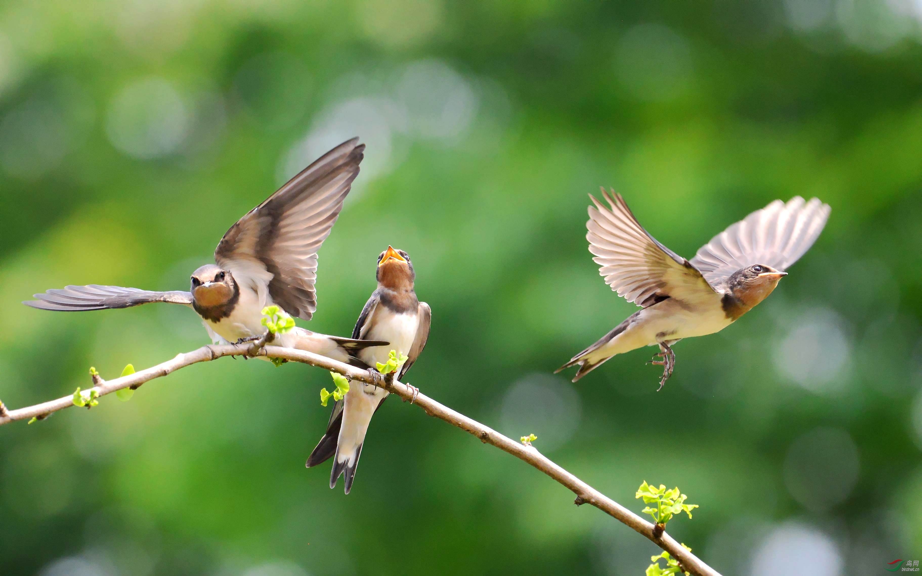 DSC_6490_conew3.jpg