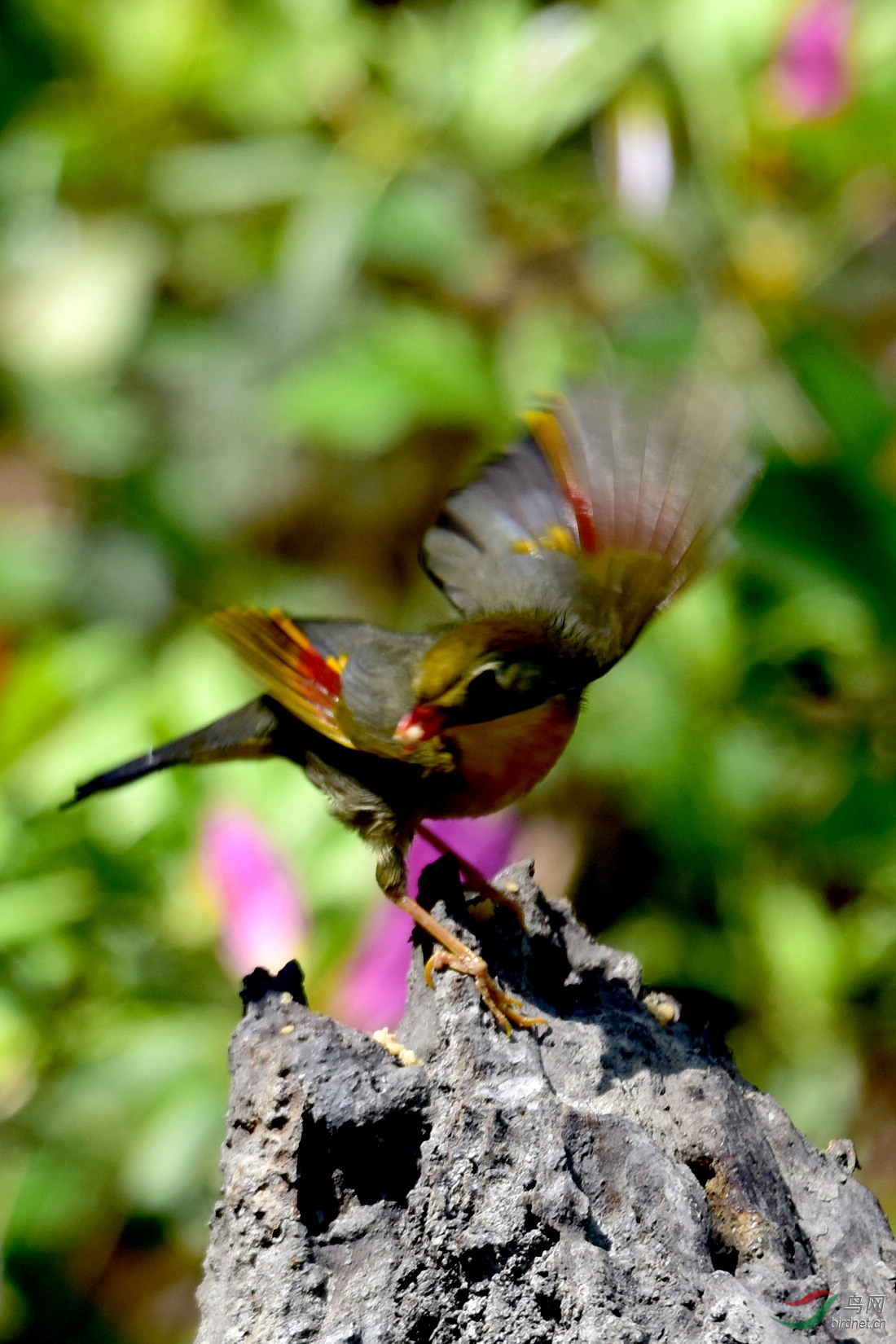 DSC_0841.JPG
