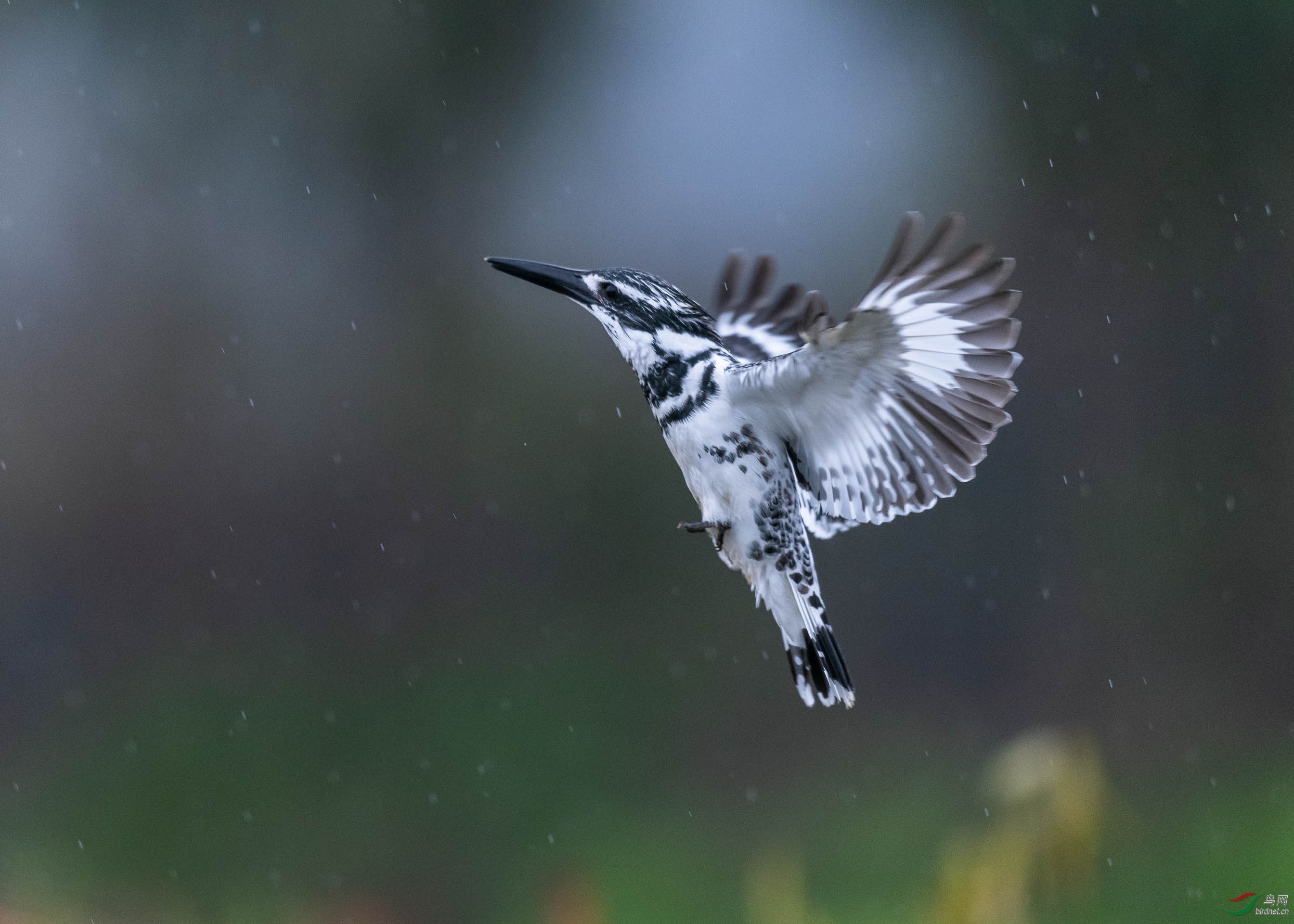 DSC_5667.jpg
