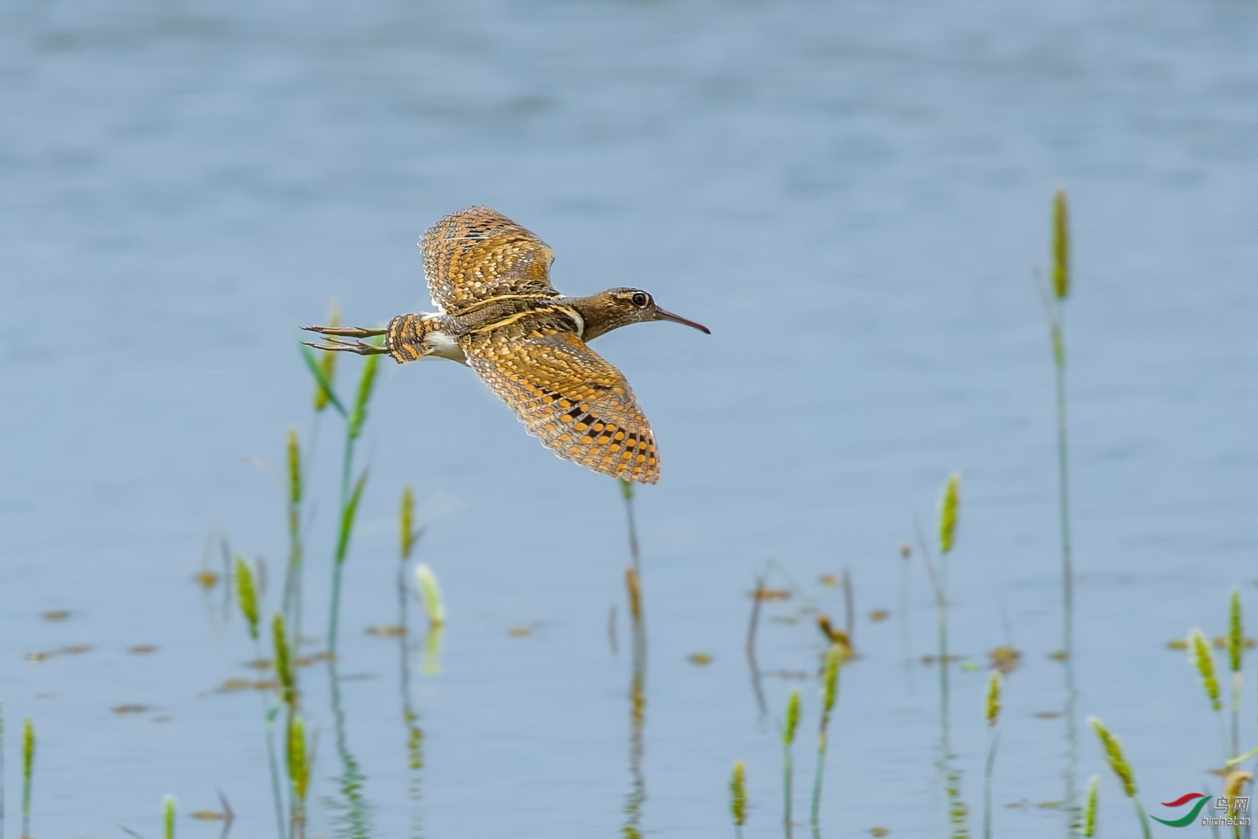 ��ɽ�ϲ� ��ʦ�������Ϻ����ֶ�����.jpg