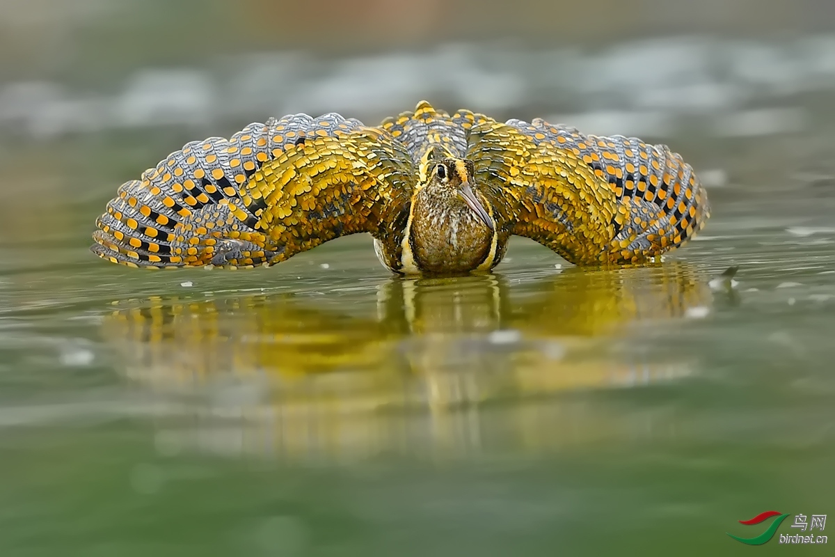 �������� ��ʦ�����ڸ���ʡ��������Ϫ��.jpg