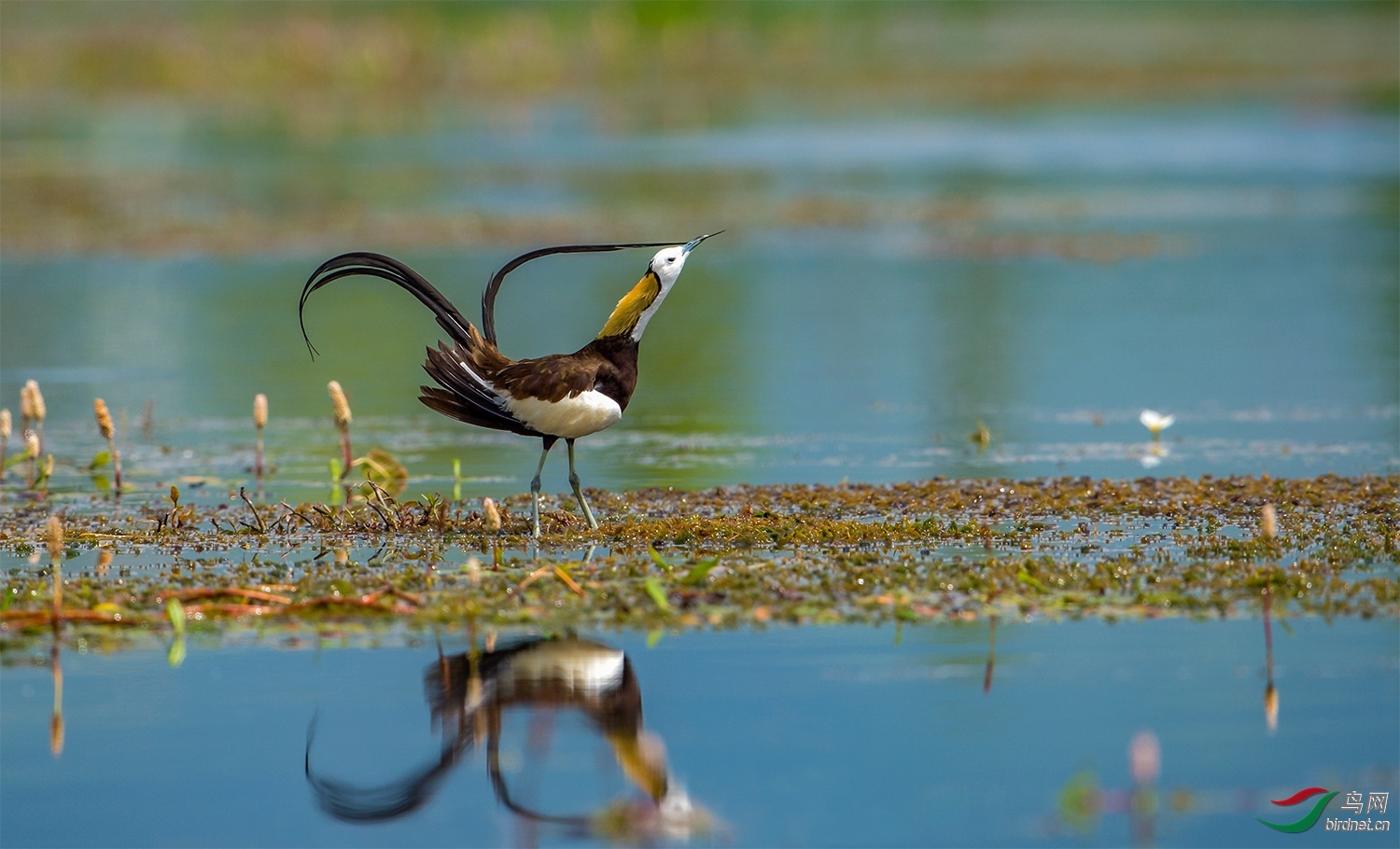 ������� ��ʦ����������ʡ�������������ݶ�Դ��.jpg