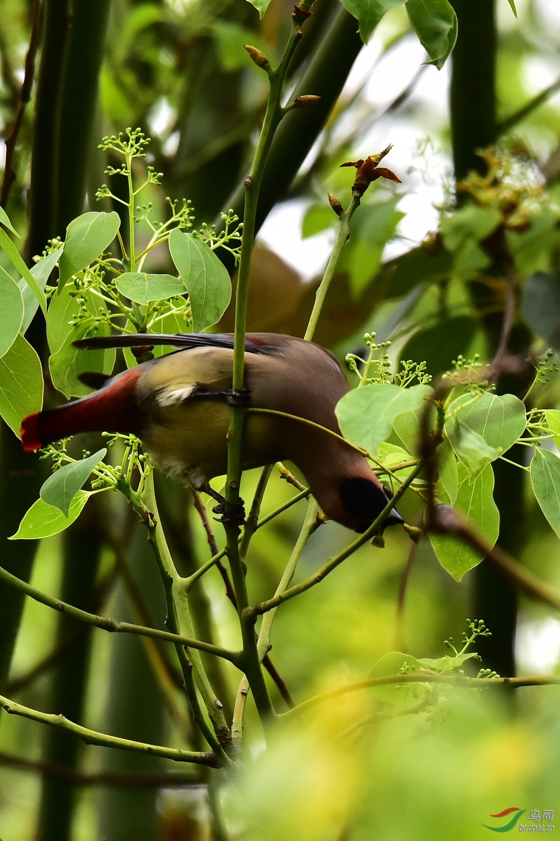 DSC_0846.JPG
