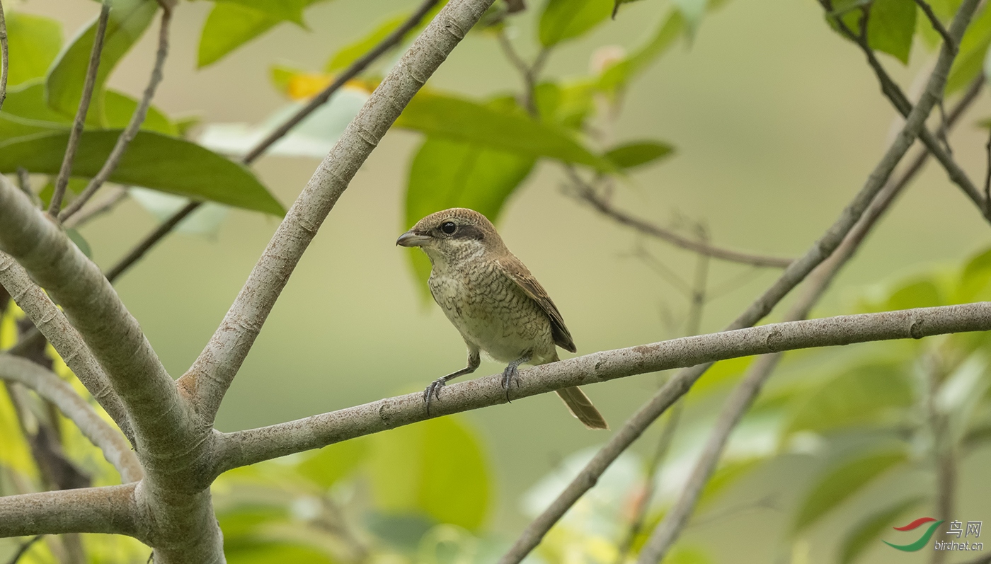 DSC_1665.jpg