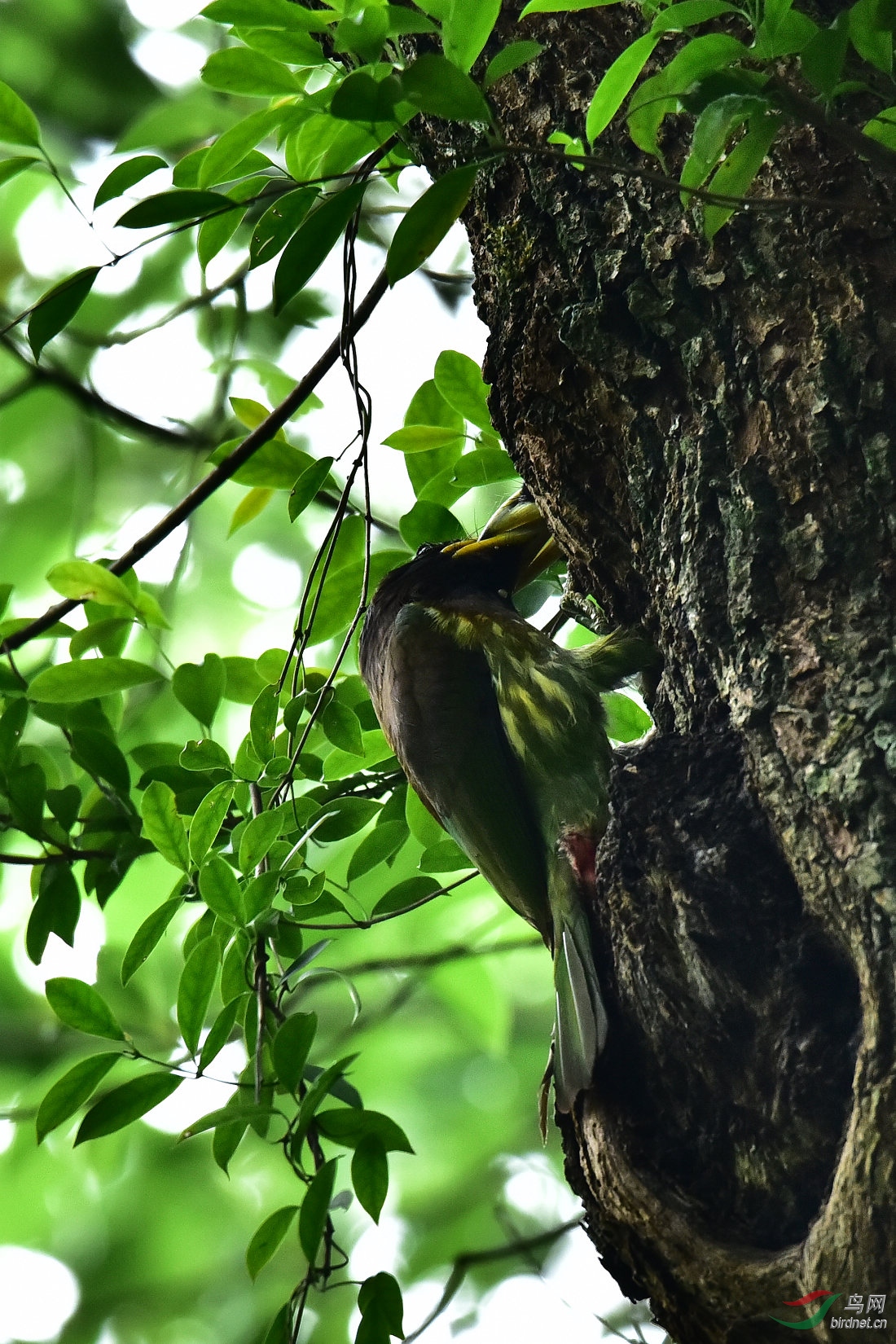 DSC_0075.JPG