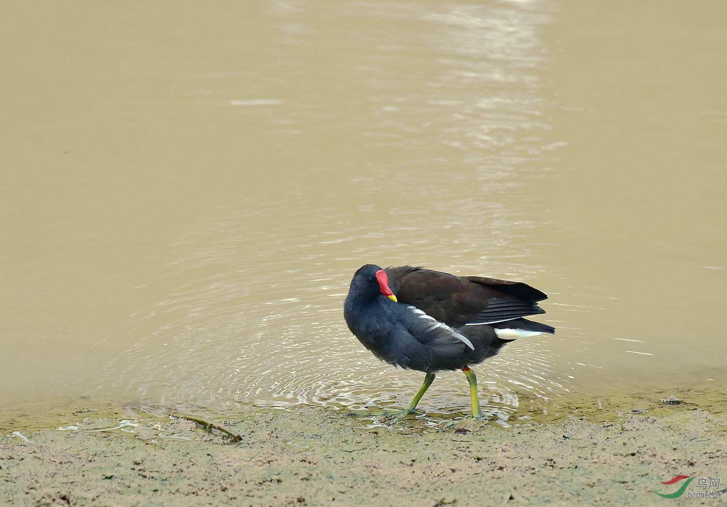 D8I_1144.jpg