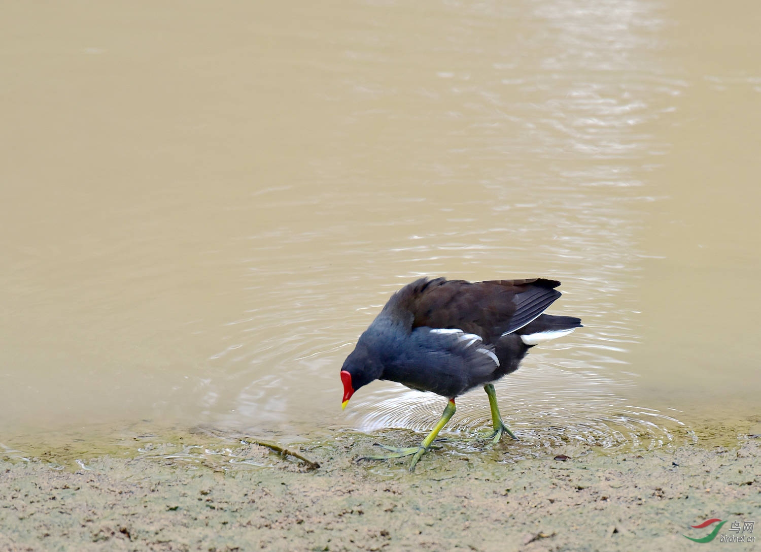 D8I_1145.jpg